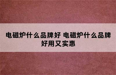 电磁炉什么品牌好 电磁炉什么品牌好用又实惠